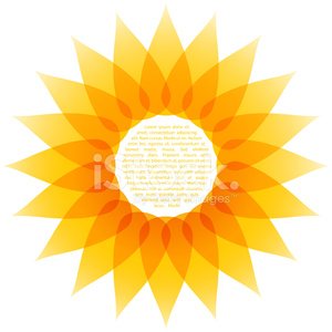 Vector Sunflower Illustration Premium Clipart 300x300 Vector Sunflower Illustration Premium Clipart