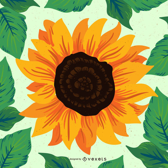 Hand Drawn Sunflower Illustration 570x570 Hand Drawn Sunflower Illustration