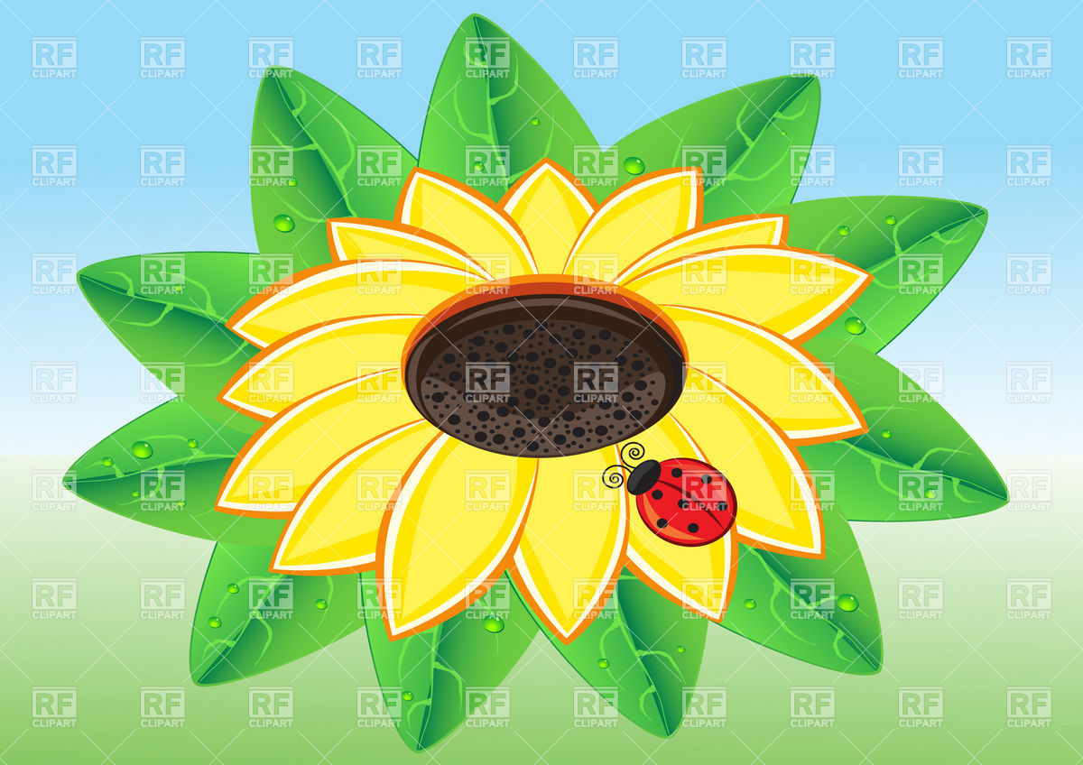 Simple Sunflower And Ladybug Vector Image Of Plants And Animals 1200x848 Simple Sunflower And Ladybug Vector Image Of Plants And Animals