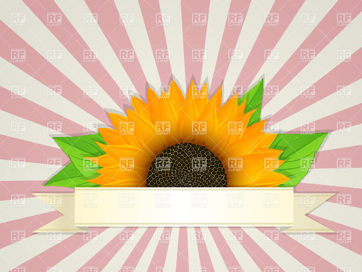 Summer Banner Design With Graphic Sunflower Vector Image 1200x900 Summer Banner Design With Graphic Sunflower Vector Image