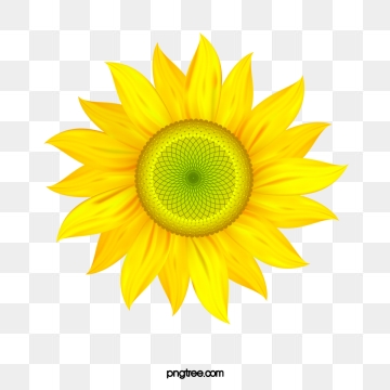 Sunflower Vector, Free Download Sunflowers, Sunflower Watercolor 360x360 Sunflower Vector, Free Download Sunflowers, Sunflower Watercolor