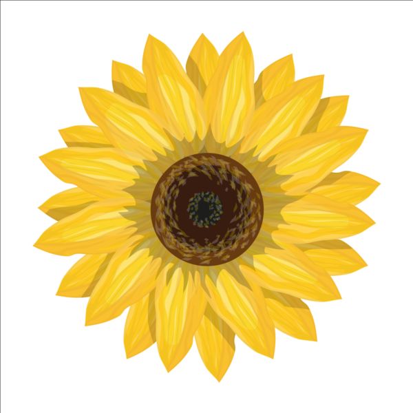 Download Sunflower Logo Vector at Vectorified.com | Collection of ...