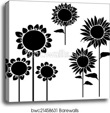 382x390 Silhouettes Of Sunflowers Vector, Canvas Print Barewalls Posters