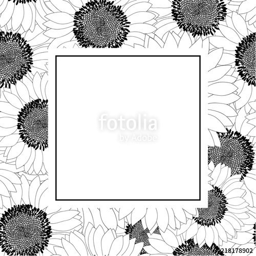 500x500 Sunflower Outline Banner Card Stock Image And Royalty Free Vector