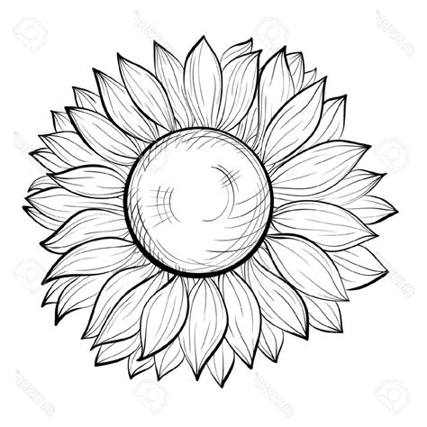 474x474 Sunflower Outline Vector Flowers Healthy, Sunflower Outline