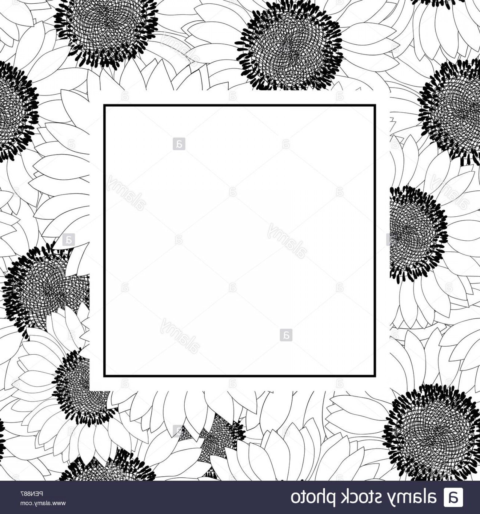 1560x1668 Sunflower Outline Vector Template Hoodamathrun