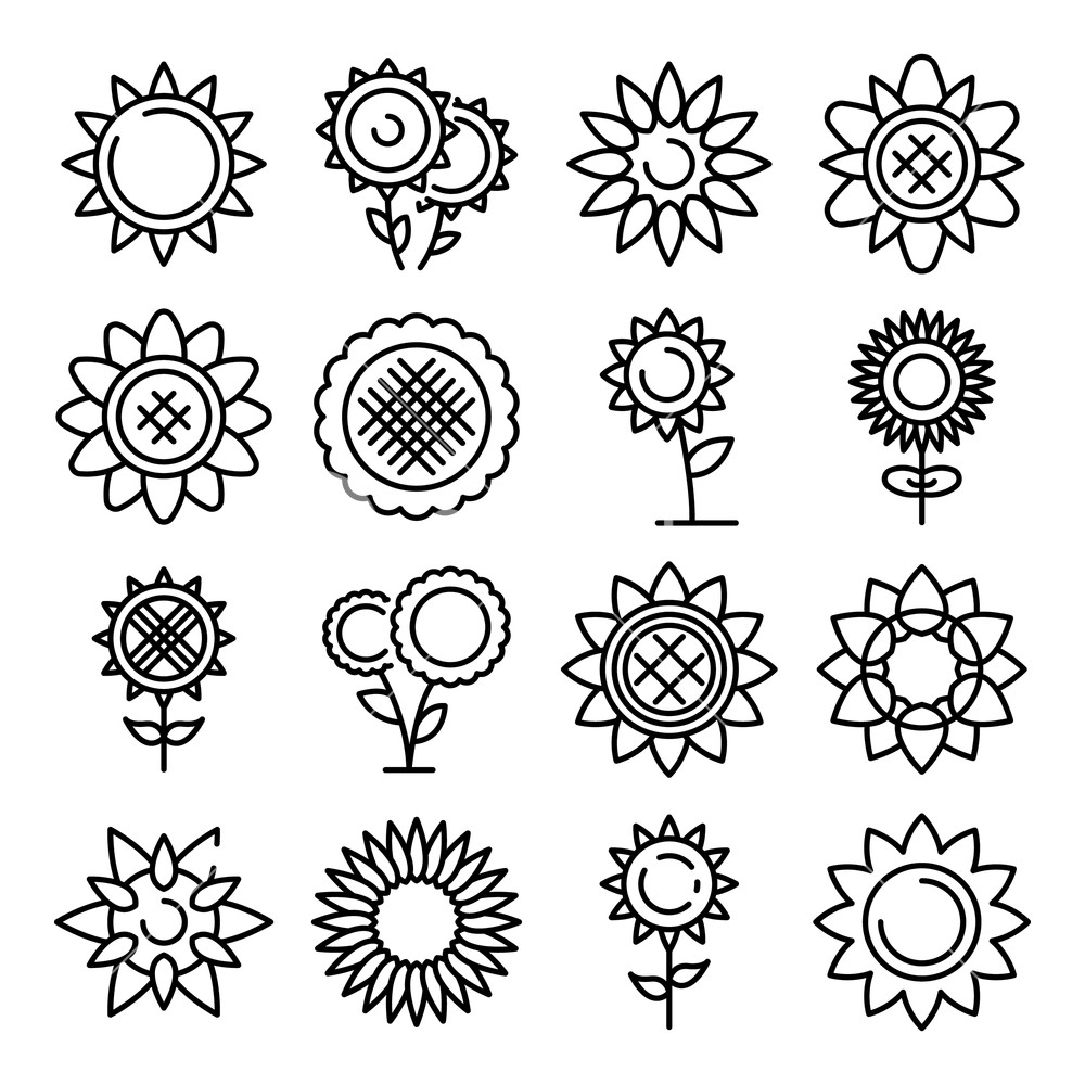 Download Sunflower Outline Vector at Vectorified.com | Collection ...