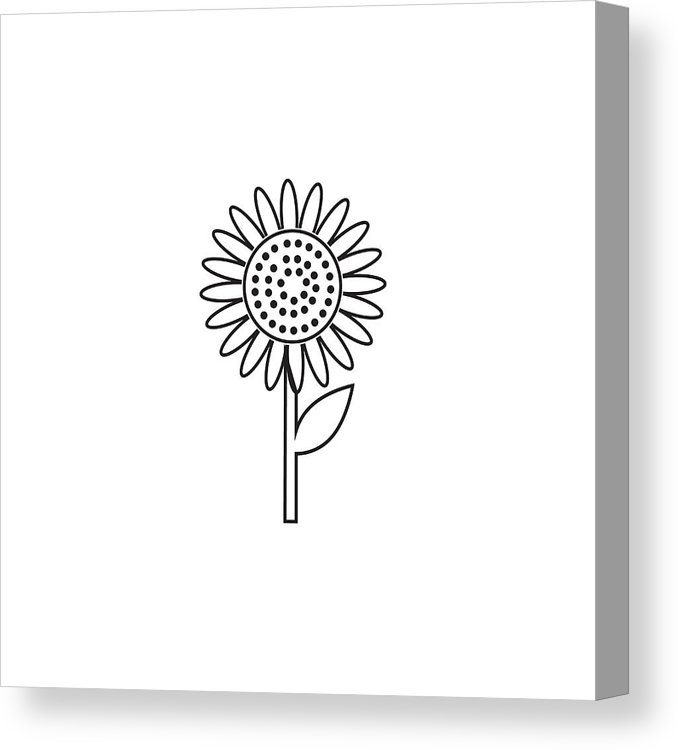 Download Sunflower Outline Vector at Vectorified.com | Collection ...