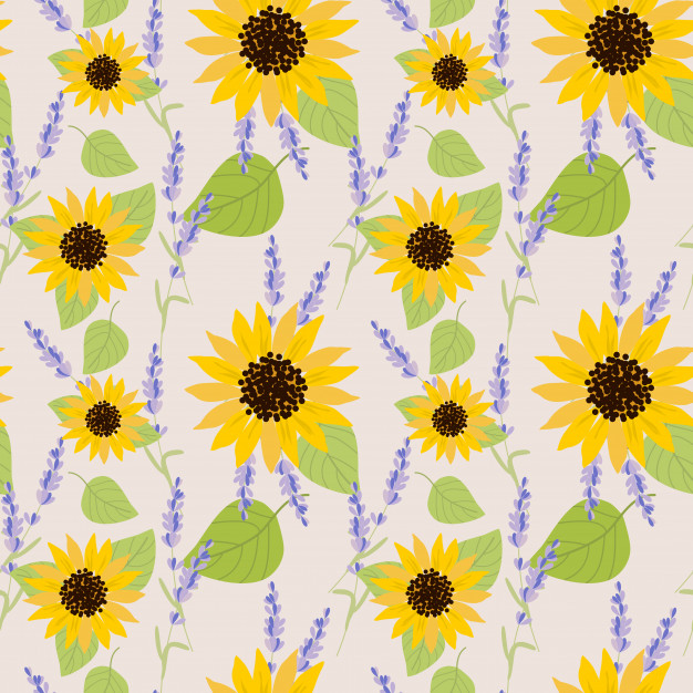 Sunflower Pattern Vector at Vectorified.com | Collection of Sunflower ...