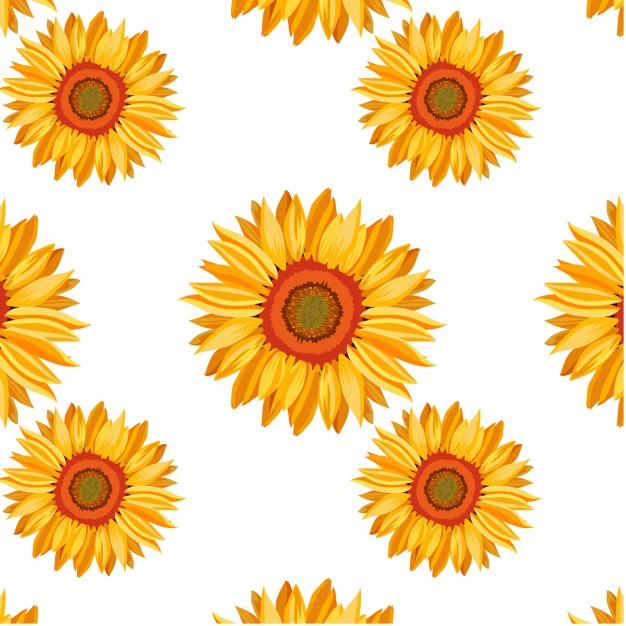 Sunflower Pattern Background Vector Free Download 626x626 Sunflower Pattern Background Vector Free Download