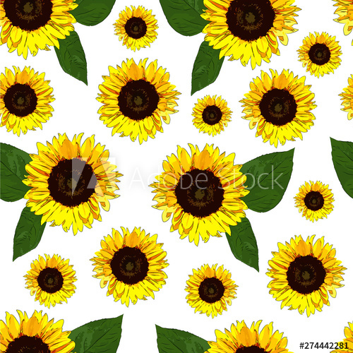 Seamless Floral Sunflower Pattern Vector Illustration Floral 500x500 Seamless Floral Sunflower Pattern Vector Illustration Floral