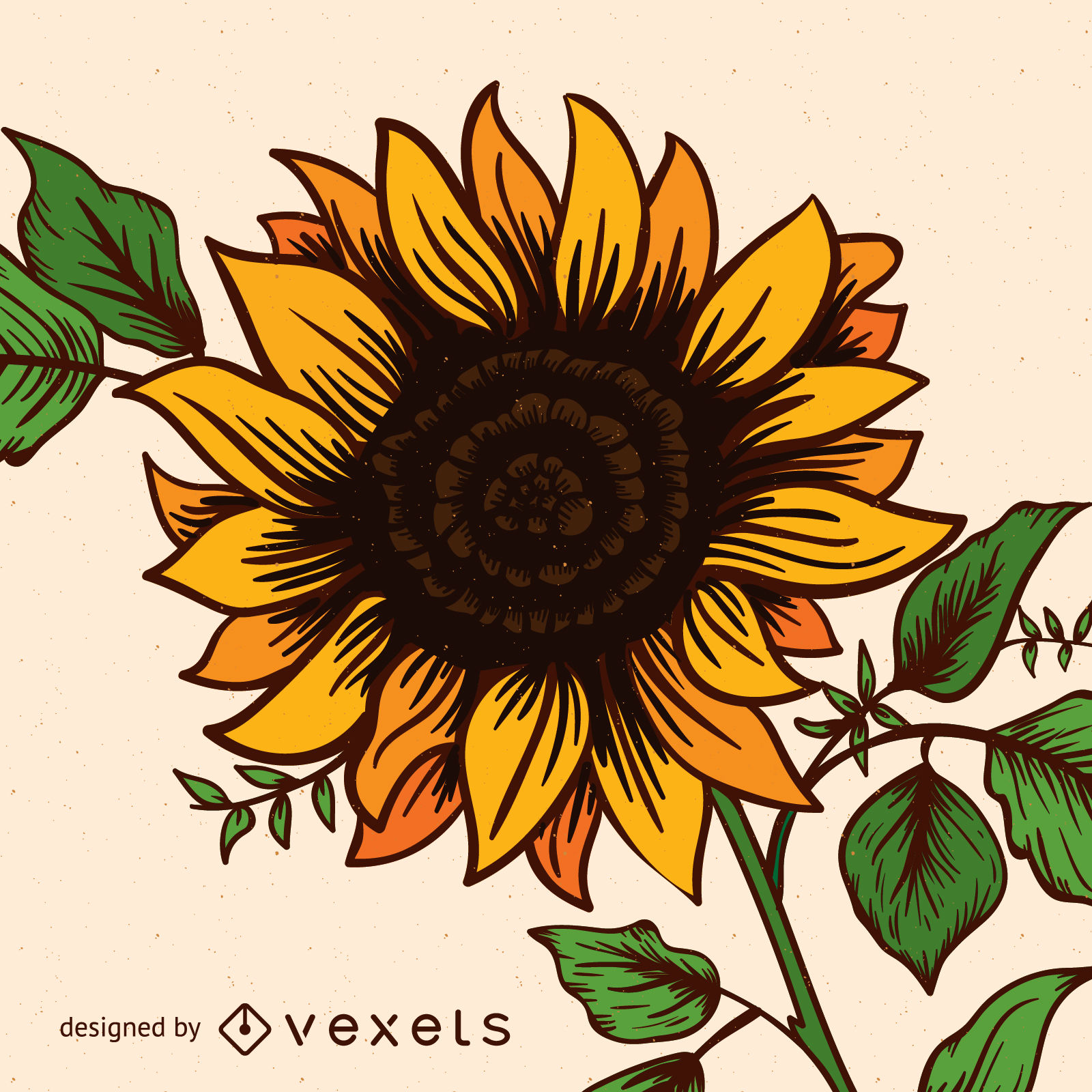 Sunflower Vector Graphics To Download 1600x1600 Sunflower Vector Graphics To Download