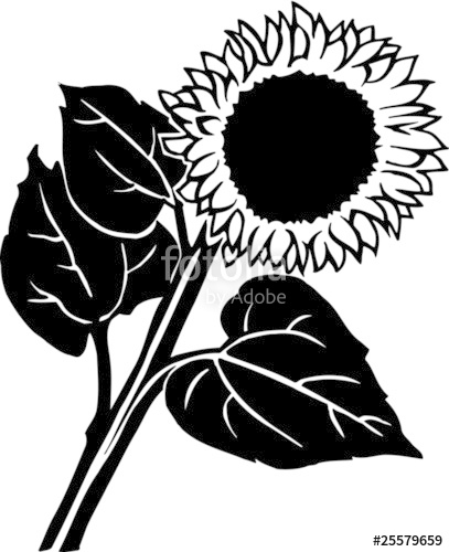 Sunflower Silhouette Vector at Vectorified.com ...
