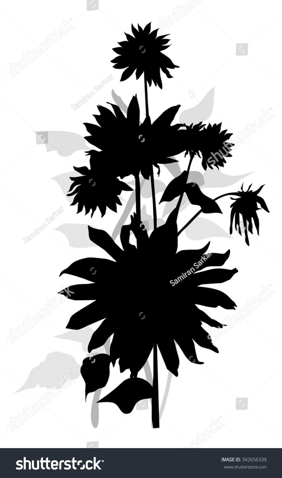 Download Sunflower Silhouette Vector at Vectorified.com ...