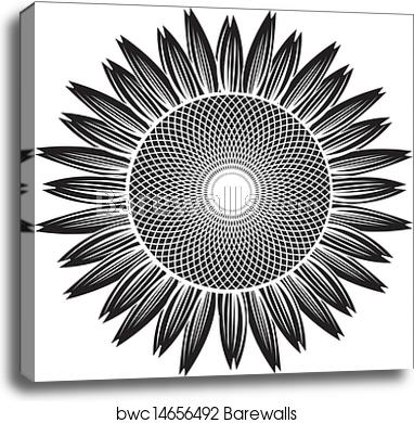 Sunflower Silhouette Vector, Canvas Print Barewalls Posters 382x390 Sunflower Silhouette Vector, Canvas Print Barewalls Posters
