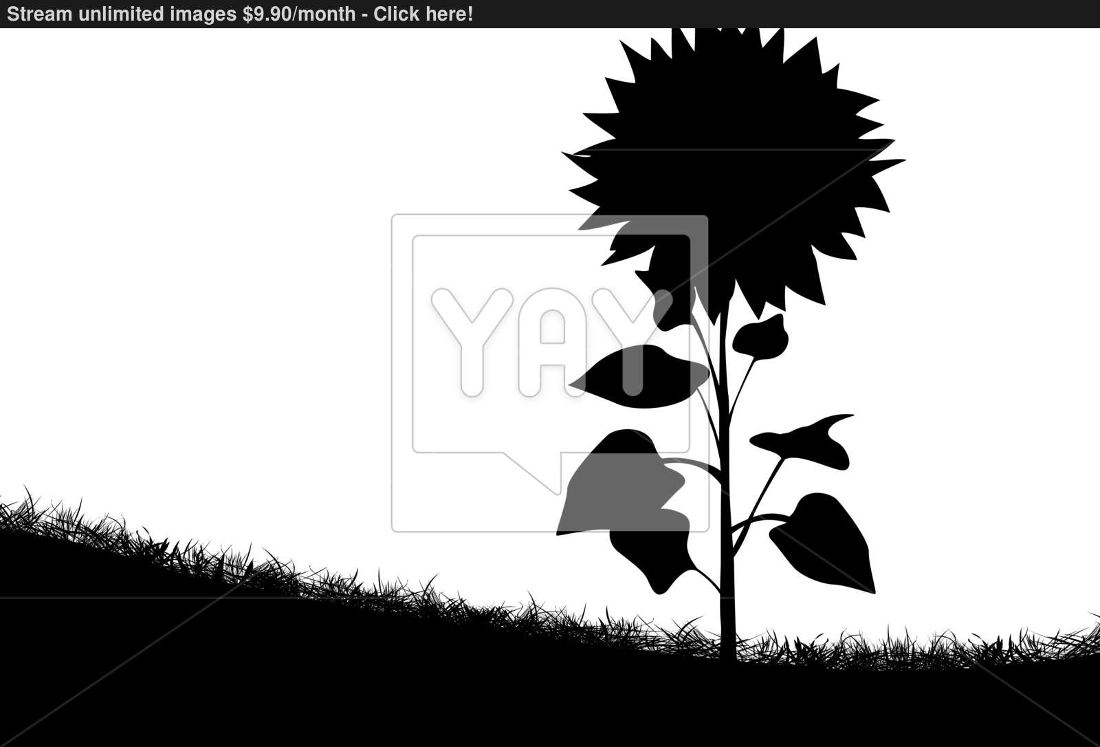 Sunflower Silhouette Vector 1600x1086 Sunflower Silhouette Vector