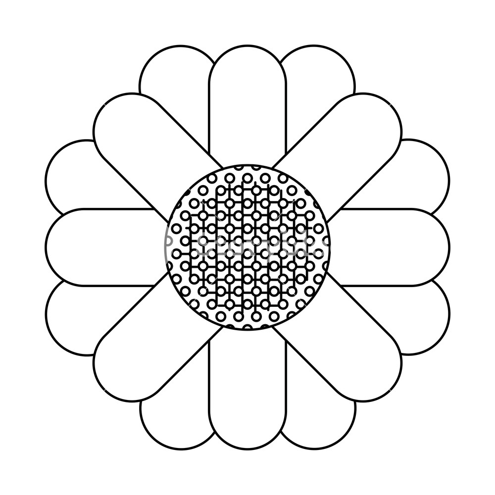 Monochrome Silhouette Of Abstract Sunflower In Closeup Vector 1000x1000 Monochrome Silhouette Of Abstract Sunflower In Closeup Vector