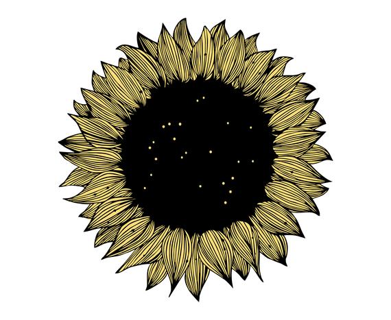 Download Sunflower Silhouette Vector at Vectorified.com ...