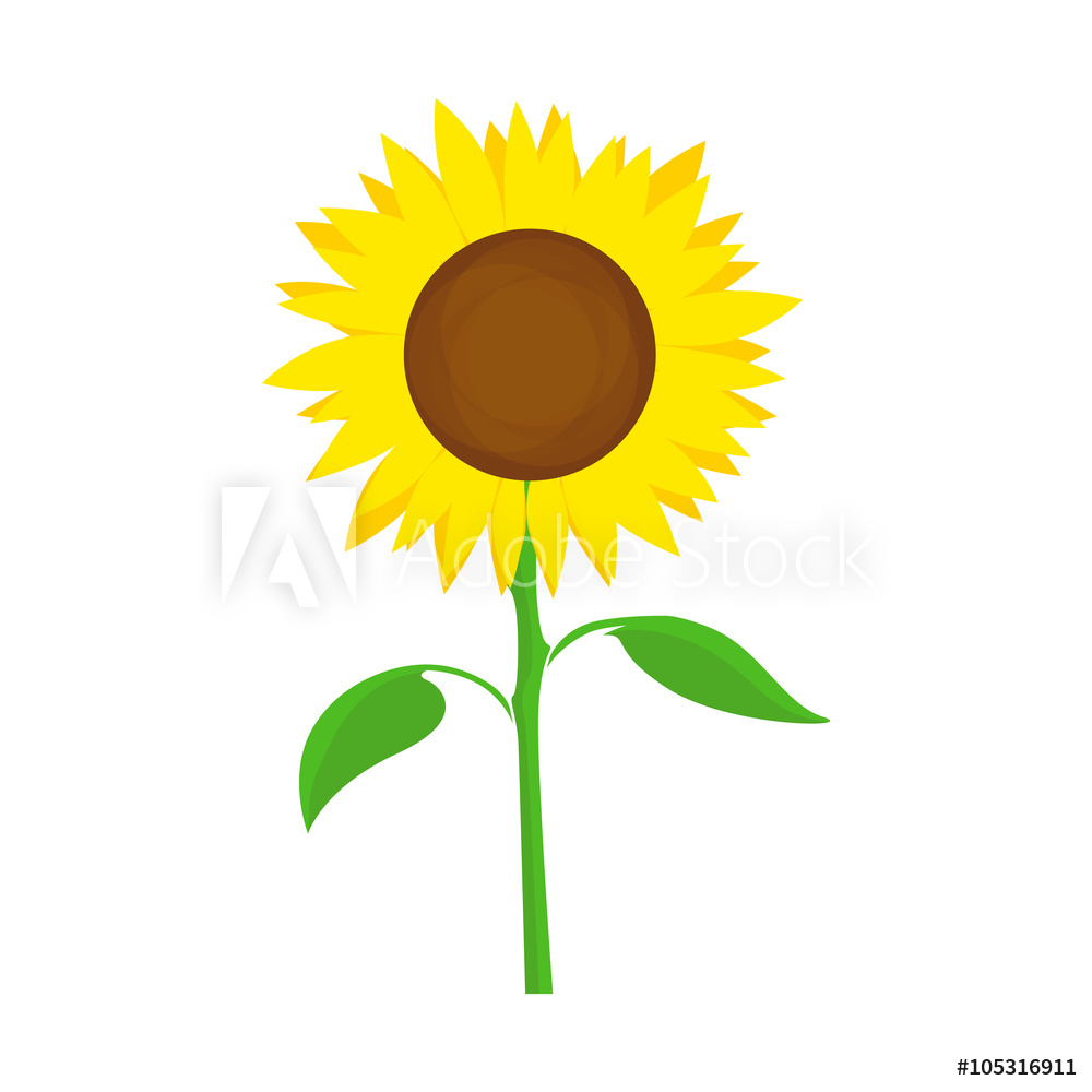 1000x1000 Photo Art Print Sunflower Vector Symbol Europosters