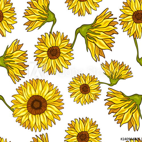 500x500 Seamless Pattern Of Sunflower Vector Illustration Of Autumn