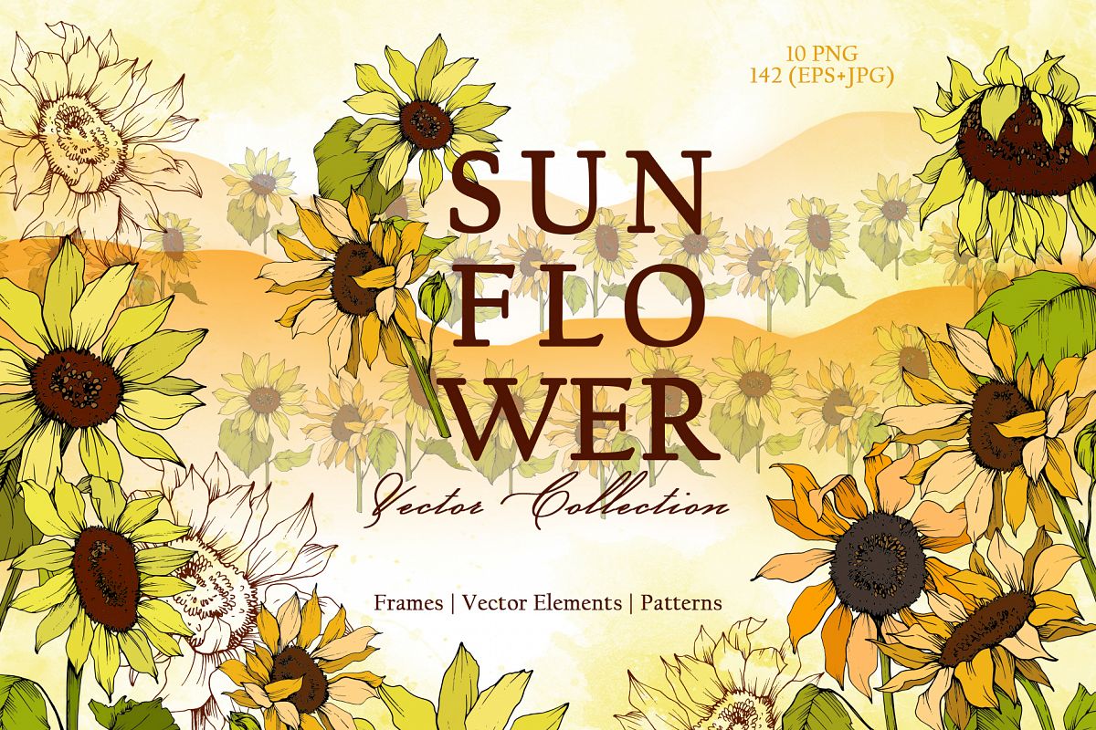 1200x800 Sunflower Vector Collection