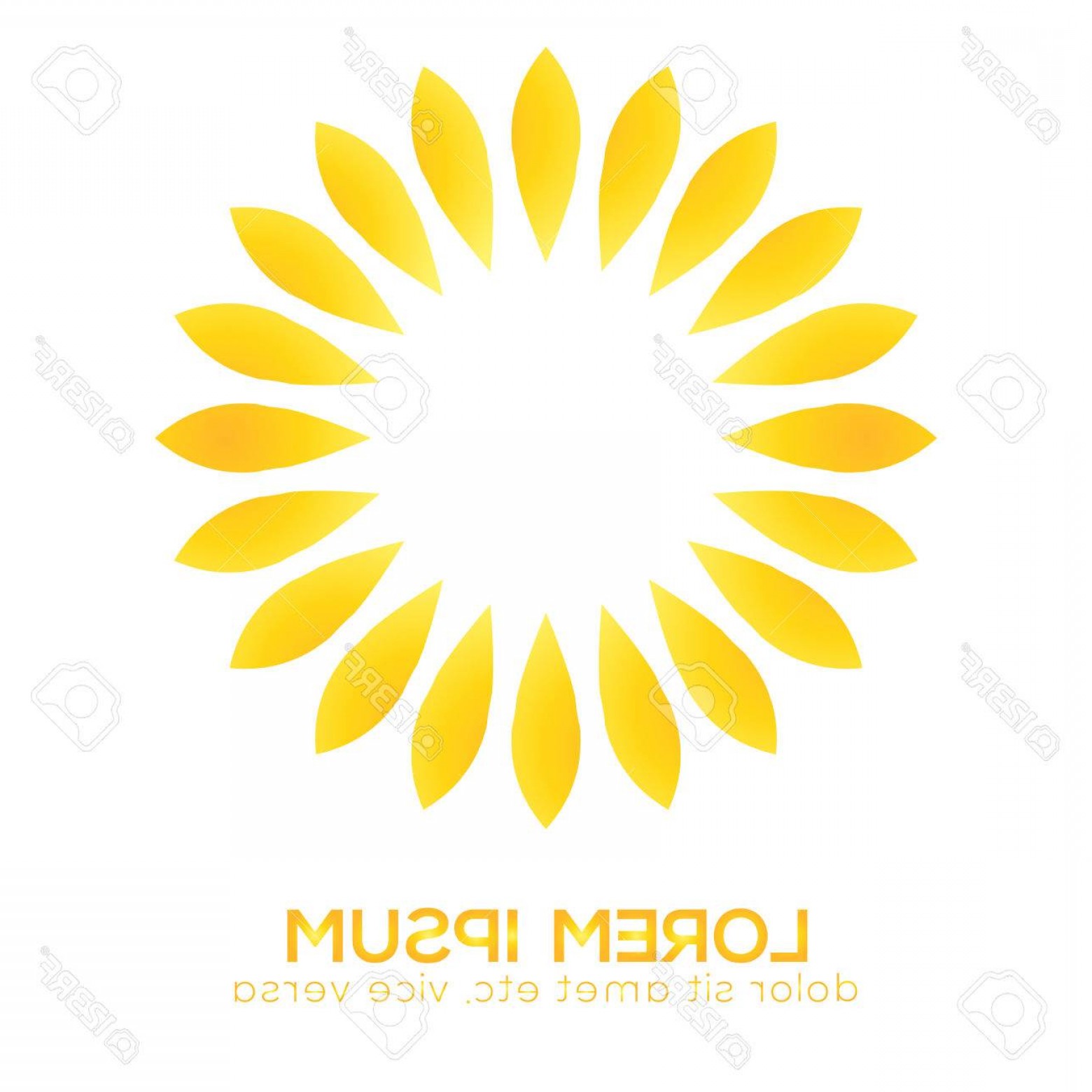 1560x1560 Sunflower Vector Logo Handandbeak