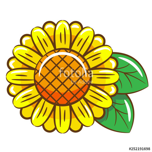 500x500 Sunflower Vector Graphic Stock Image And Royalty Free Vector