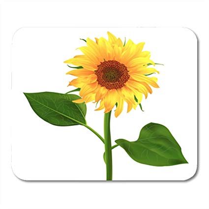 425x425 Semtomn Gaming Mouse Pad Sunflower Vector Flower