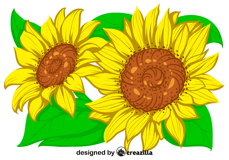 800x559 Sunflower Free Download Creazilla