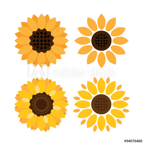 500x500 Colorful Sunflower Vector Icons On White Background