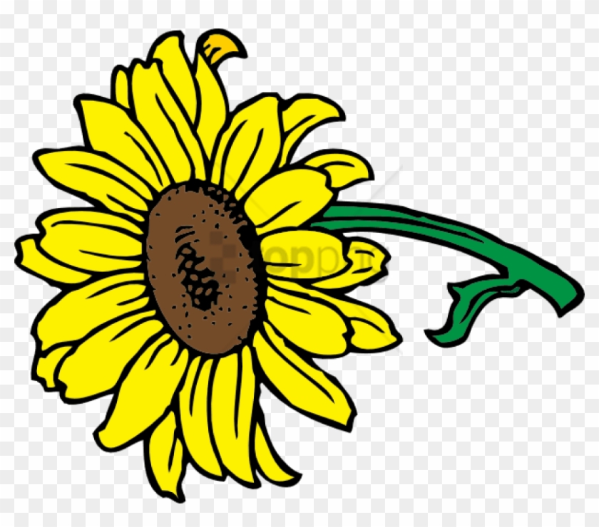 840x740 Free Png Sunflower Vector Png Png Image With Transparent