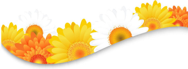 600x222 Sunflower Free Vector Download