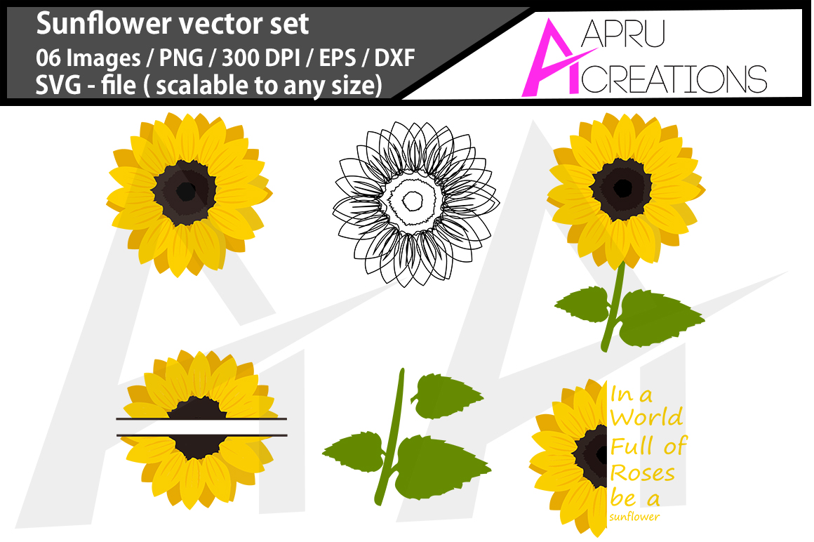 1160x772 Sunflower Vector Graphics Sunflower Outline