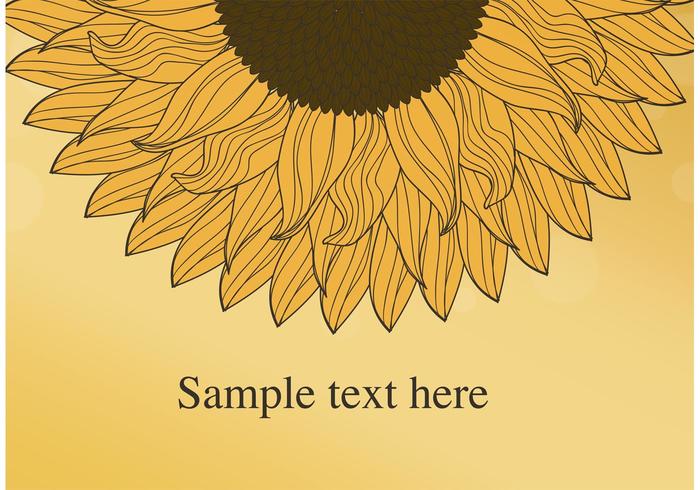 700x490 Sunflower Free Vector Art