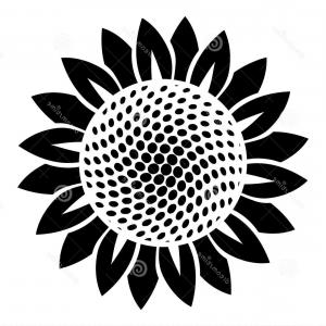 Download Sunflower Vector Black And White at Vectorified.com ...