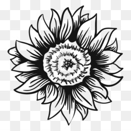 260x260 Sunflower Vector Png Free Download