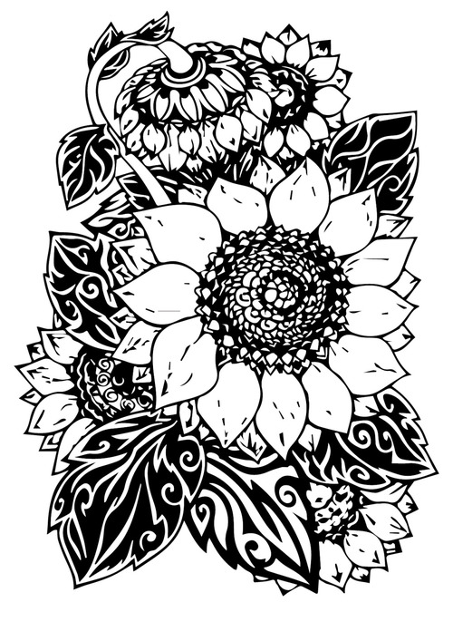 500x707 Sunflower Black And White Line Design Vector Free Download