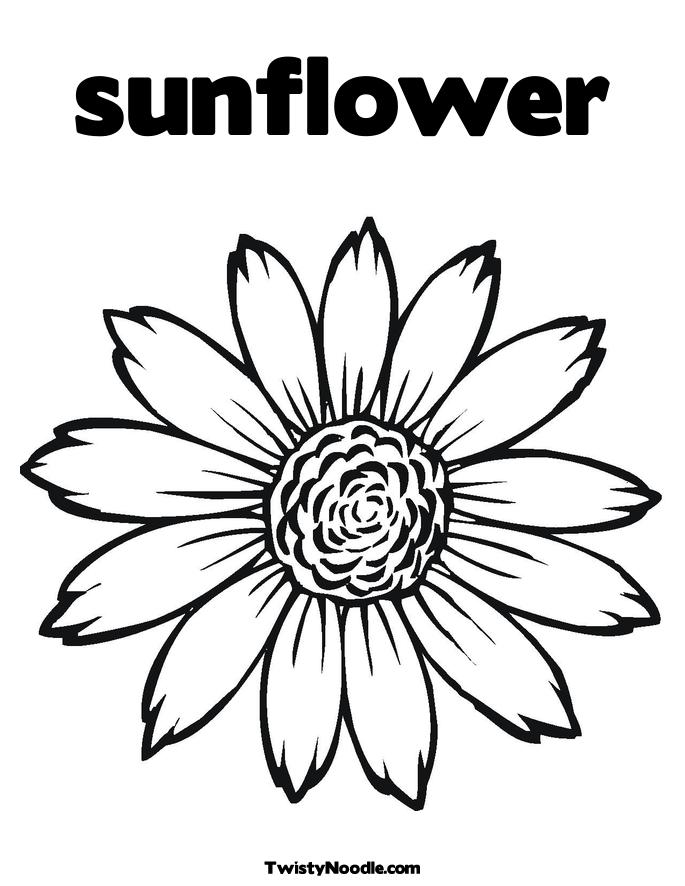 685x886 Sunflower Black And White Sunflower Black And White Clipart