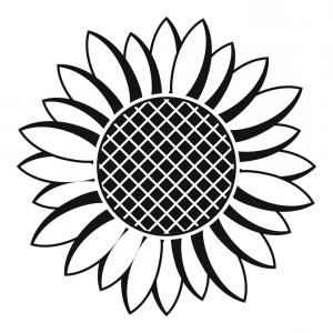300x300 Unique Sunflower Vector Black And White Free Wallkeeper
