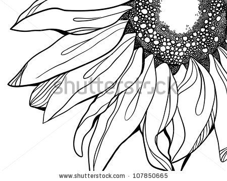 450x358 Vector Images, Illustrations And Cliparts Sunflower Vector