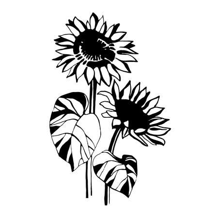 Free Free 207 Sunflower Svg Black And White SVG PNG EPS DXF File