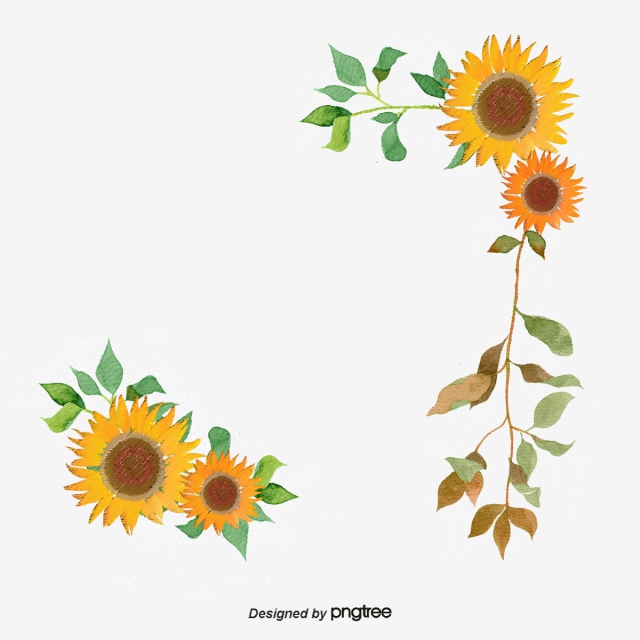 Sunflower Vector, Graphic Resources For Free Download 640x640 Sunflower Vector, Graphic Resources For Free Download