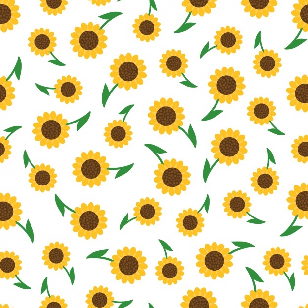 Sunflower Vectors, Photos And Free Download 626x626 Sunflower Vectors, Photos And Free Download