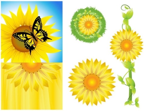 Sunflower Free Vector Download 476x368 Sunflower Free Vector Download