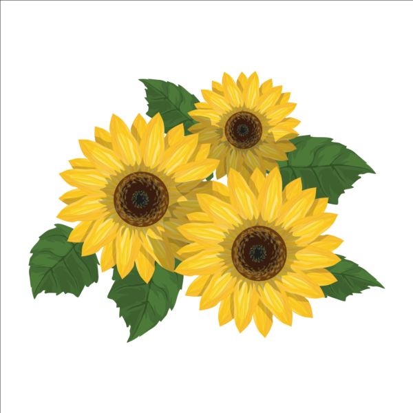 Sunflower With Green Leaves Vector Free Download 600x600 Sunflower With Green Leaves Vector Free Download