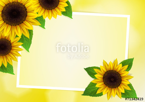Sunflowers Vector Background For Image And Text Stock Image 500x354 Sunflowers Vector Background For Image And Text Stock Image