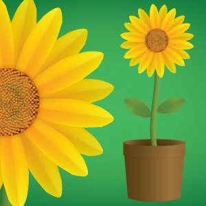 Vector Sunflower Free Vectors Ui Download 300x300 Vector Sunflower Free Vectors Ui Download