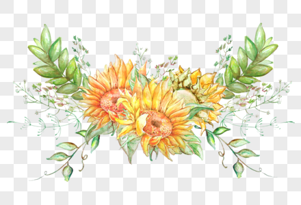 Free Vector Sunflower Images Free Vector Sunflower Pictures 440x300 Free Vector Sunflower Images Free Vector Sunflower Pictures