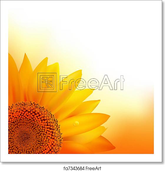 Free Art Print Of Sunflower Sunflower, Vector Illustration 561x581 Free Art Print Of Sunflower Sunflower, Vector Illustration