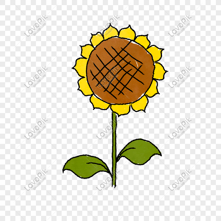 Hand Drawn Cartoon Sunflower Vector Material Png Image Picture 860x860 Hand Drawn Cartoon Sunflower Vector Material Png Image Picture